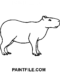Glückliches Wasserschwein Ausmalbild