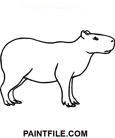 Glückliches Wasserschwein Ausmalbild