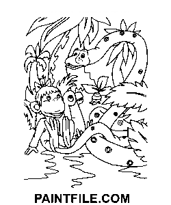 Schöne 38 Papageien Ausmalbild