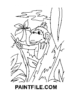 Perfekt 38 Papageien Ausmalbild