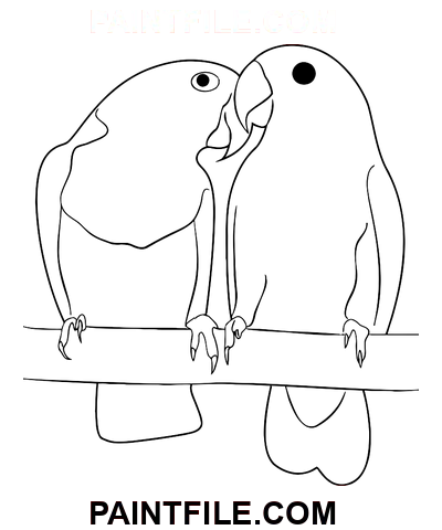 Schöne Turteltaube Ausmalbild