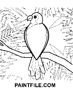 Schöner Papagei Ausmalbild