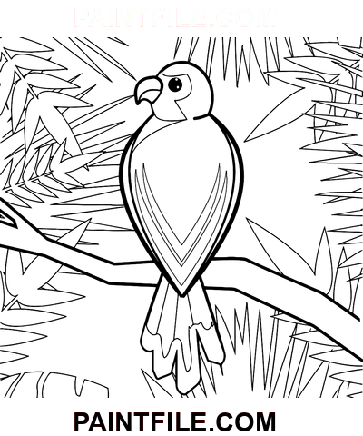 Schöner Papagei Ausmalbild