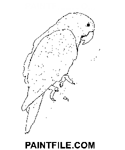 Blaukroniger Grüner Papagei Ausmalbild