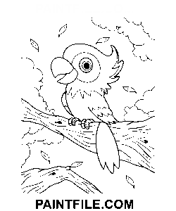 Niedlicher Papagei für Vorschulkinder Ausmalbild
