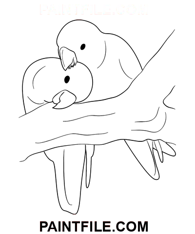 Papagei zeichnen Ausmalbild