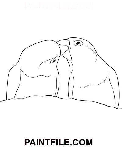 Liebesvögel Küssen Ausmalbild