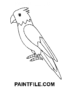 Papagei für Enthusiasten Ausmalbild