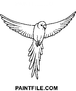 Simple Outline Of A Parrot Flying coloring page