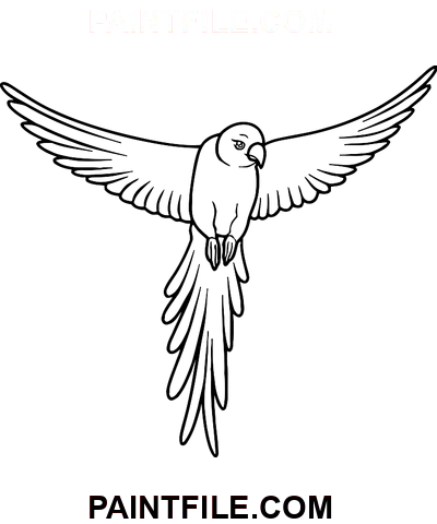 Simple Outline Of A Parrot Flying coloring page