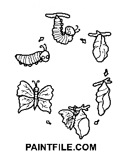Simple Caterpillar Lifecycle From Cocoon To Butterfly coloring page