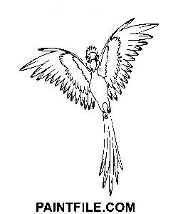 Gioiello Volante disegno da colorare