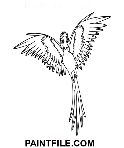Gioiello Volante disegno da colorare