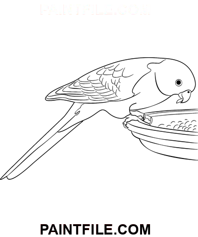 Australsk papegøje farvelægning side