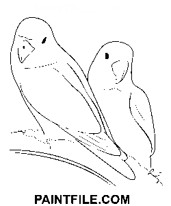 Håndmalet papegøje farvelægning side