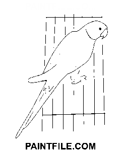 Papegøje skabelon farvelægning side
