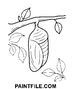 Larven kokon farvelægning side
