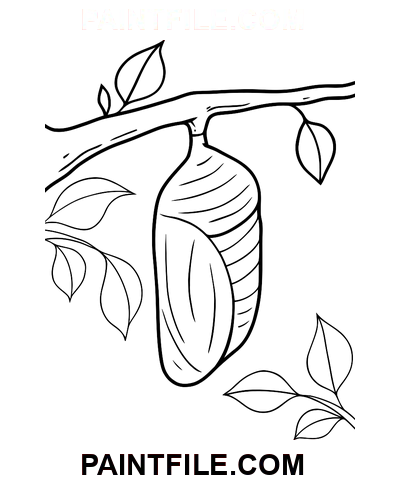 Larven kokon farvelægning side