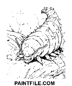 Rysunek clipart gąsienicy kolorowanka