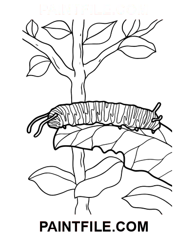 Gąsienica monarchy kolorowanka