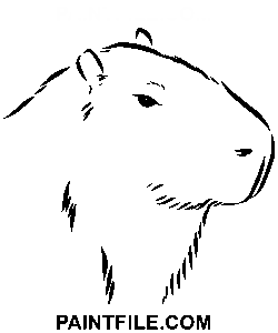 Underbar kapybara målarbok