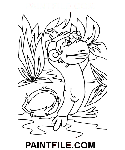 38 Papoušci Line Art omalovánka