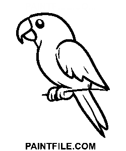 Snadný papoušek omalovánka