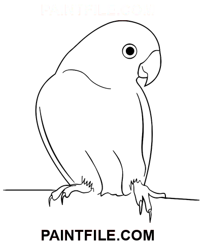Mluvící papoušek omalovánka