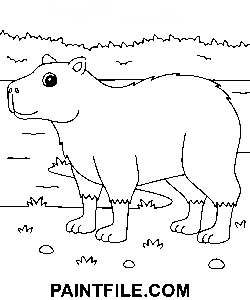 Vector capibara pagina de colorat