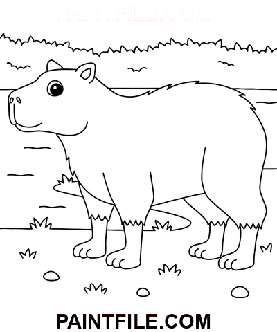 Vector capibara pagina de colorat