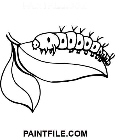 Sevimli Caterpillar Çizgi Çizimi boyama sayfası