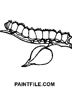 Kızlar için Caterpillar boyama sayfası