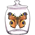 Life Inside Jar