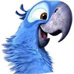 Rio