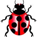 Insecten